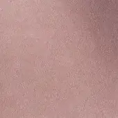 501253 - CIPRIA